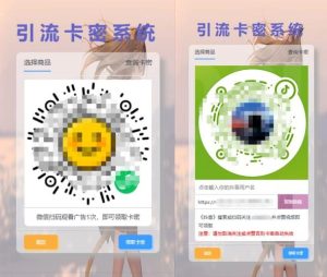 卡密引流系统源码-Byte Brim