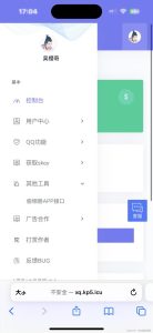 小西瓜API系统集合源码-Byte Brim